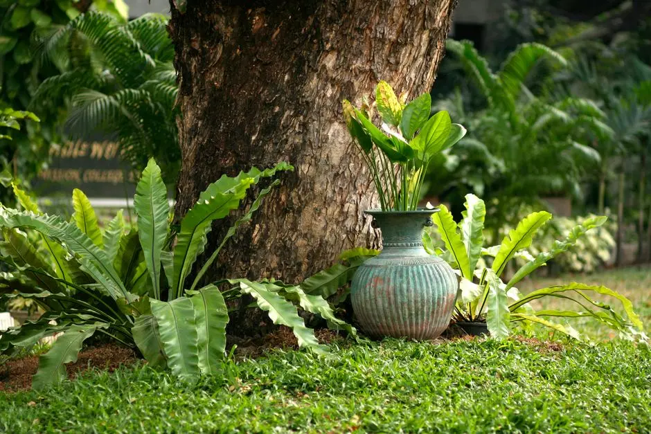 Garden at BOMBAY WADIA INTERNATIONAL CENTER (WIC), Worli, Mumbai