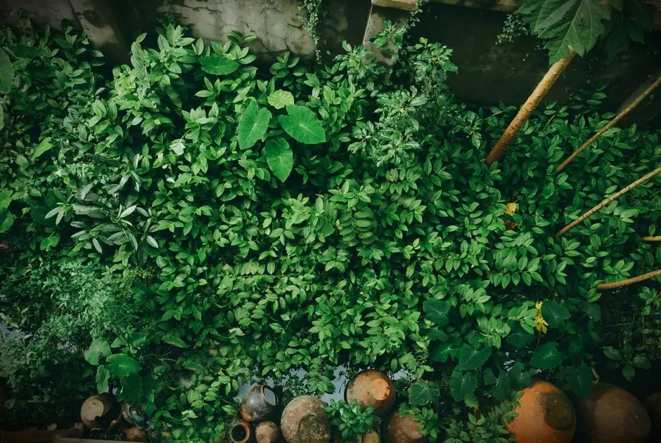 Greens & Outdoors at BOMBAY REALTY WADIA INTERNATIONAL CENTER, Worli, Mumbai